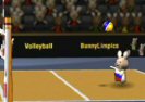 Bunnylimpics Odbojka Game