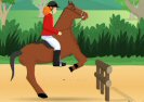 Paard Rijden Coach Game