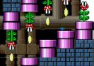 Nou Super Mario World 3 Game