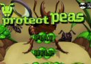 Proteja Mazare Game