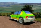 Rally Scenen Game