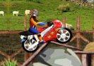 Raudona Motorinių Game