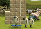 شان Championsheeps گوسفند Game