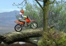 Biciclete De Primăvară Game