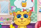 Vorbesc Ghimbir Nou Semestru Game