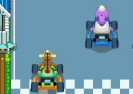 Зоопарк Гонщик Game